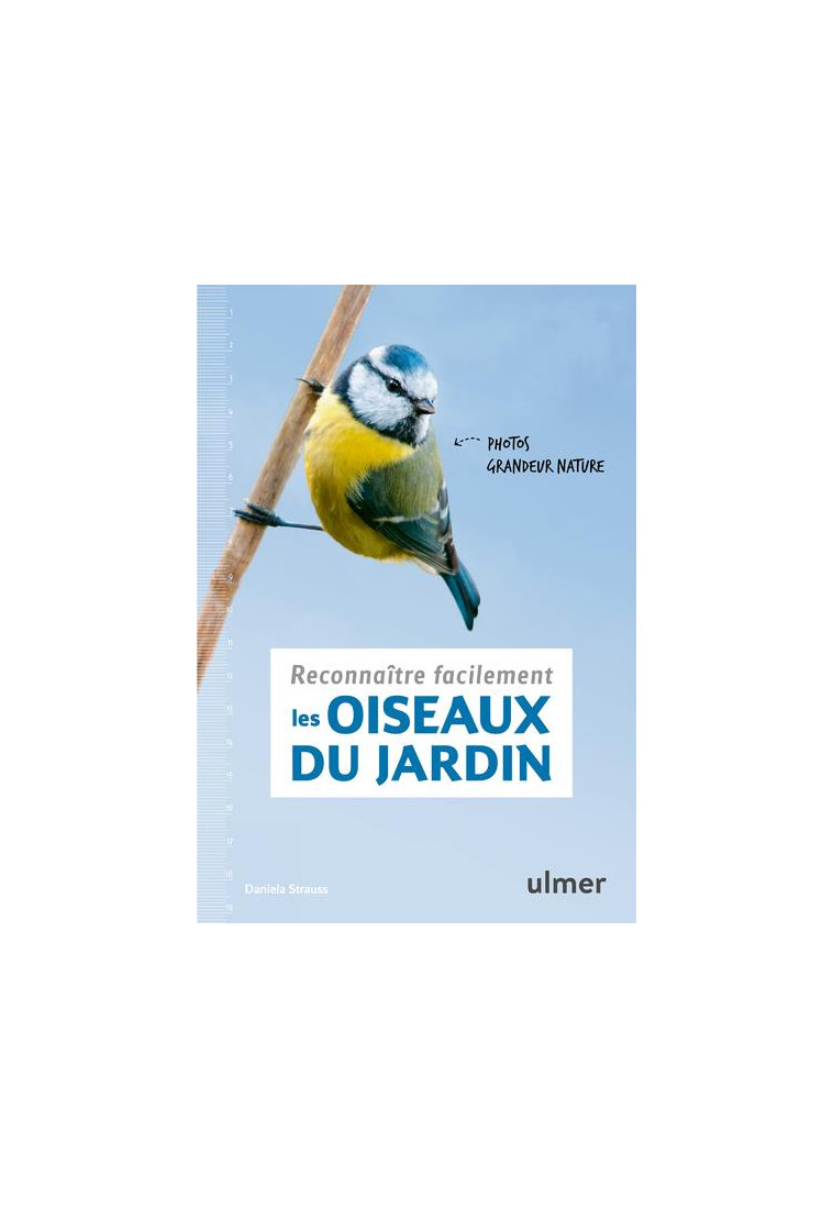 RECONNAITRE FACILEMENT LES OISEAUX DU JARDIN - PHOTOS GRANDEUR NATURE - STRAUSS DANIELA - ULMER