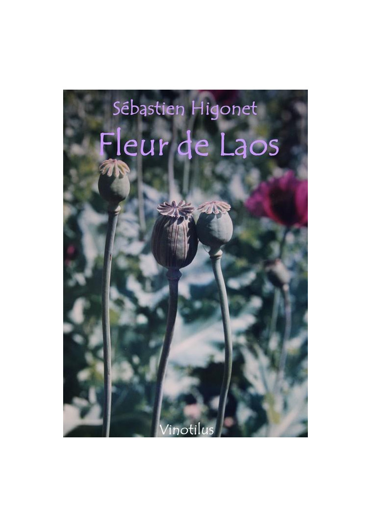 FLEUR DE LAOS - HIGONET SEBASTIEN - VINOTILUS