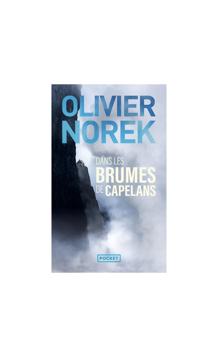 DANS LES BRUMES DE CAPELANS - NOREK OLIVIER - POCKET