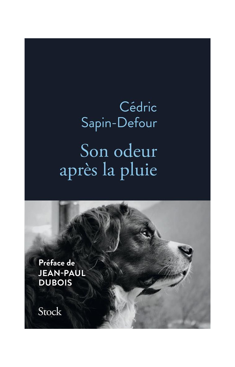 SON ODEUR APRES LA PLUIE - SAPIN-DEFOUR CEDRIC - STOCK