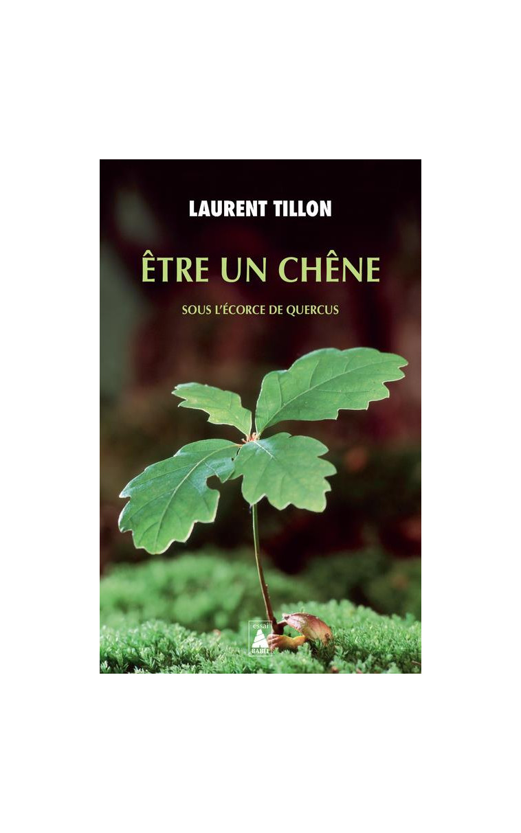 ETRE UN CHENE - SOUS L'ECORCE DE QUERCUS - TILLON LAURENT - ACTES SUD