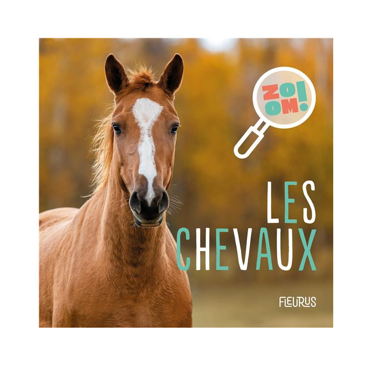 LES CHEVAUX - HEDELIN PASCALE - FLEURUS