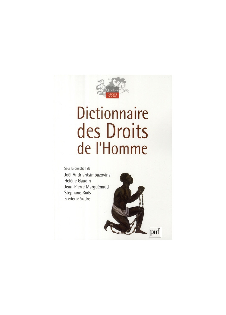 DICTIONNAIRE DES DROITS DE L-HOMME - GAUDIN HELENE - PUF