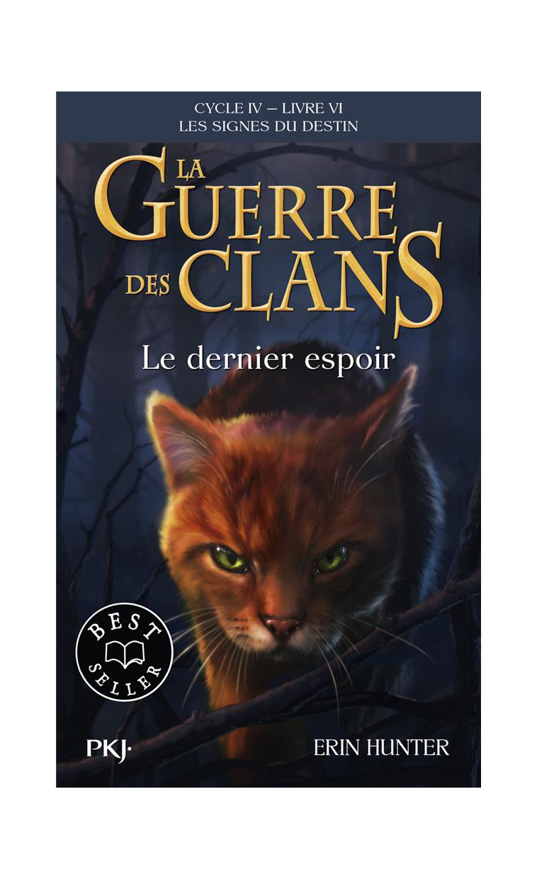 LA GUERRE DES CLANS, CYCLE IV, TOME 06 : LE DERNIER ESPOIR - HUNTER ERIN - POCKET