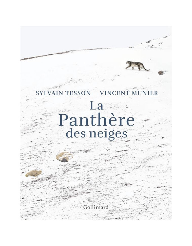 LA PANTHERE DES NEIGES - EDITION ILLUSTREE - MUNIER/TESSON - GALLIMARD