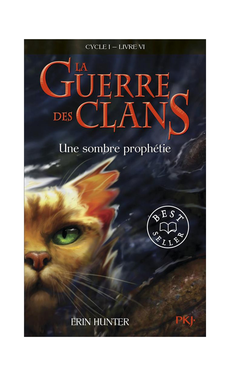 LA GUERRE DES CLANS - CYCLE I - TOME 6 UNE SOMBRE PROPHETIE -POCHE- - VOL06 - HUNTER ERIN - POCKET