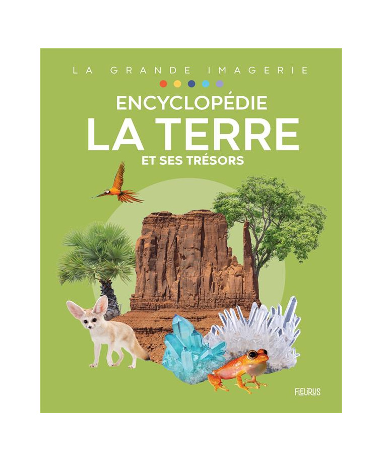 ENCYCLOPEDIE - LA TERRE ET SES TRESORS - COLLECTIF - FLEURUS