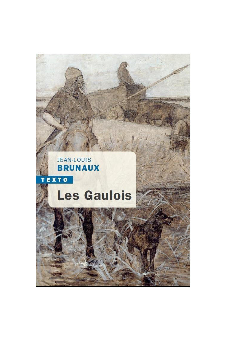 LES GAULOIS - BRUNAUX JEAN-LOUIS - TALLANDIER