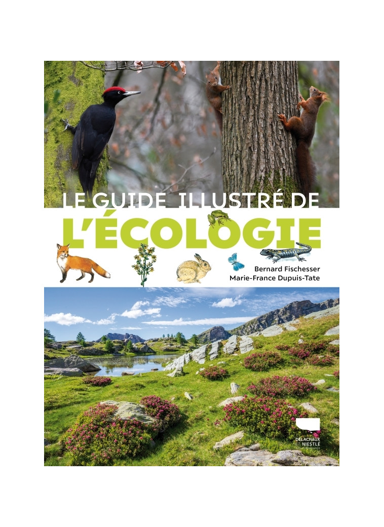 Le Guide illustré de l'écologie - Marie-France Dupuis-Tate, Bernard Fischesser - DELACHAUX