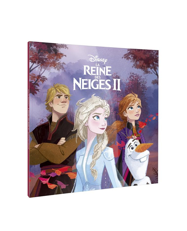 LA REINE DES NEIGES 2 - MONDE ENCHANTE - L-HISTOIRE DU FILM - DISNEY - XXX - HACHETTE