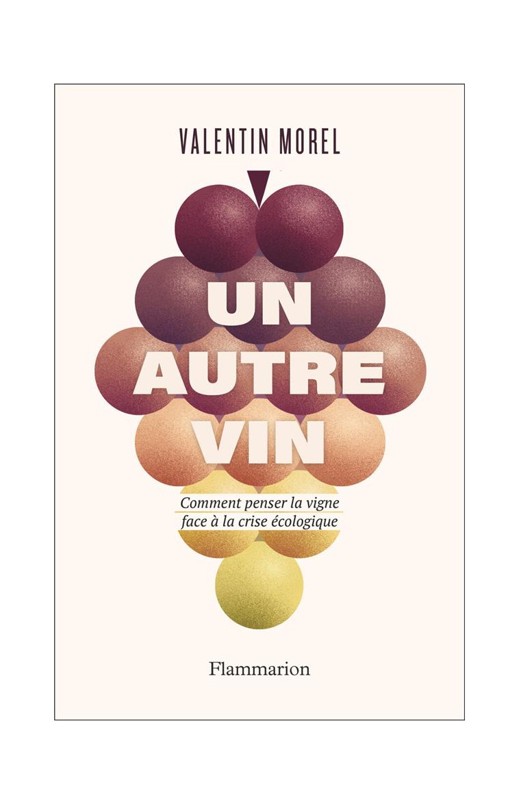 UN AUTRE VIN - COMMENT PENSER LA VIGNE FACE A LA CRISE ECOLOGIQUE - MOREL VALENTIN - FLAMMARION