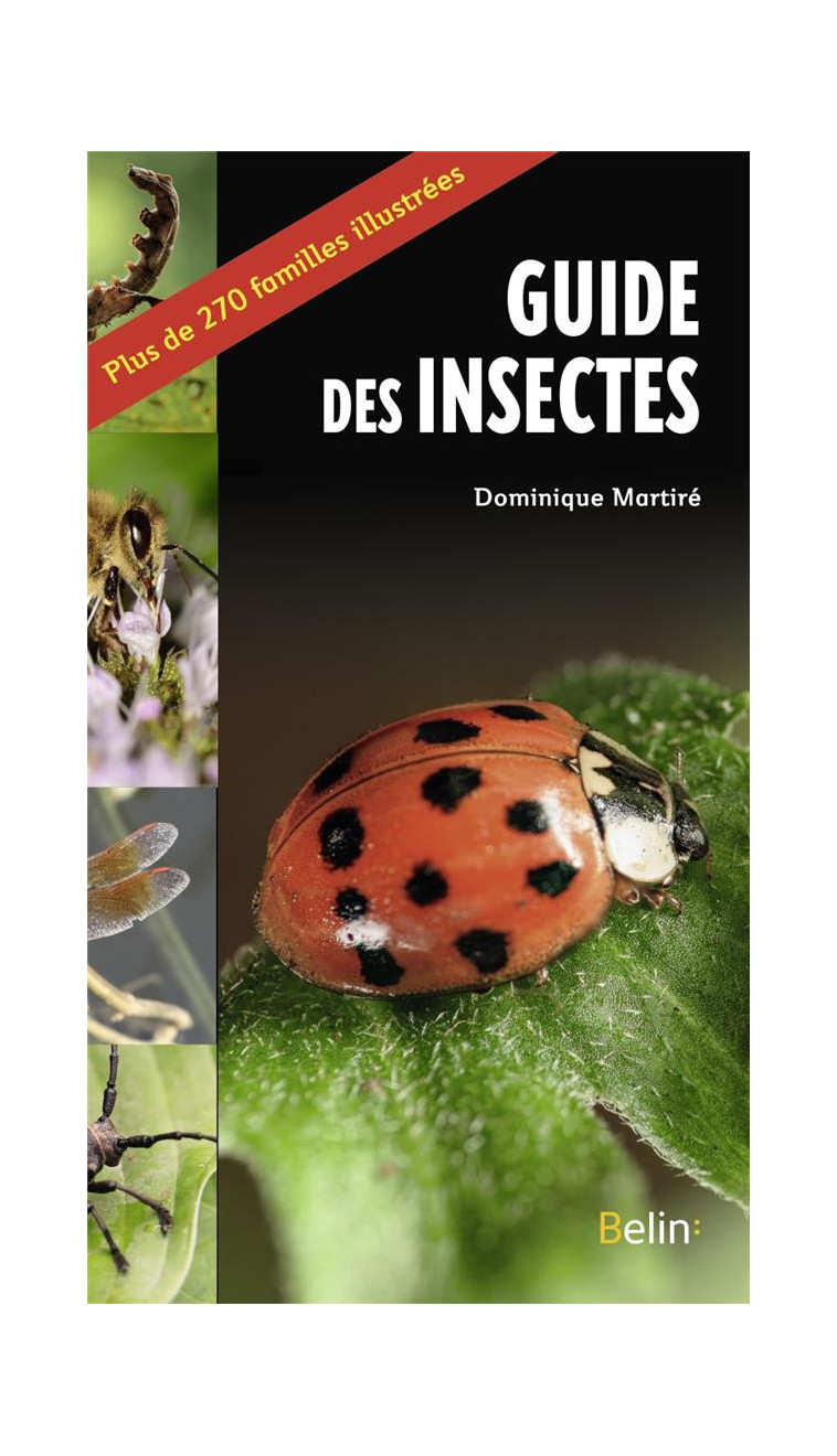 LE GUIDE DES INSECTES - MARTIRE - DORLING KINDERS