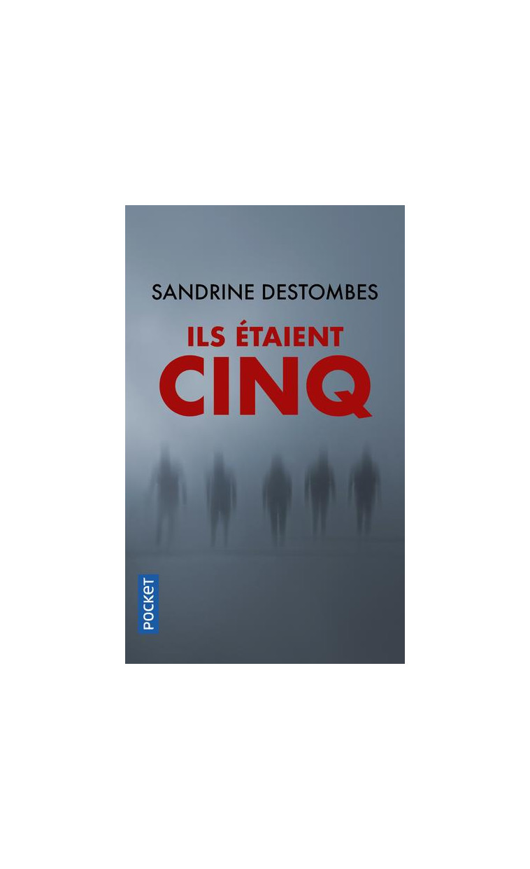 ILS ETAIENT CINQ - DESTOMBES SANDRINE - POCKET