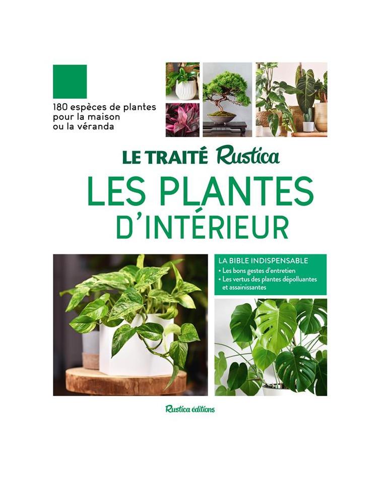 LE TRAITE RUSTICA DES PLANTES D-INTERIEUR - BEAUVAIS/BONDUEL - RUSTICA