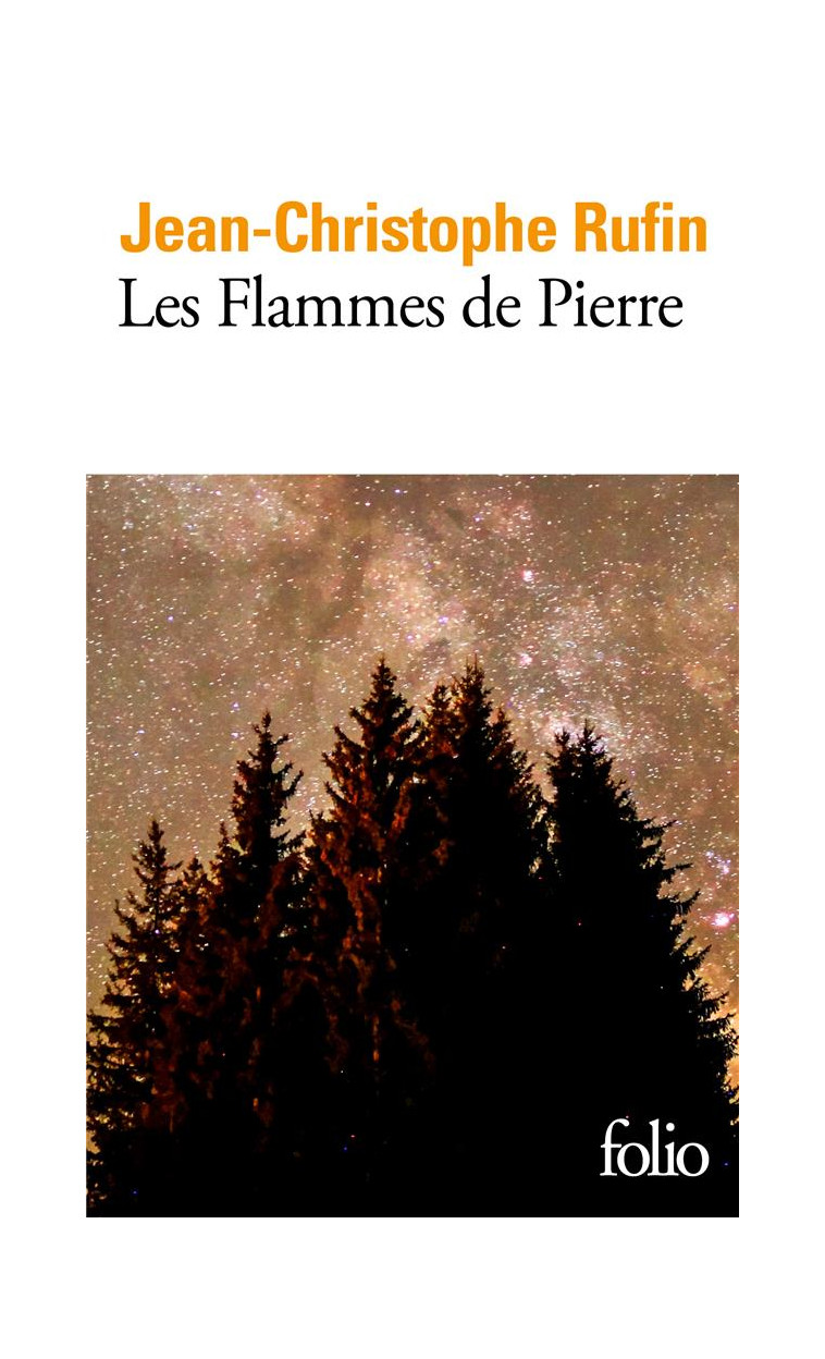 LES FLAMMES DE PIERRE - RUFIN J-C. - GALLIMARD