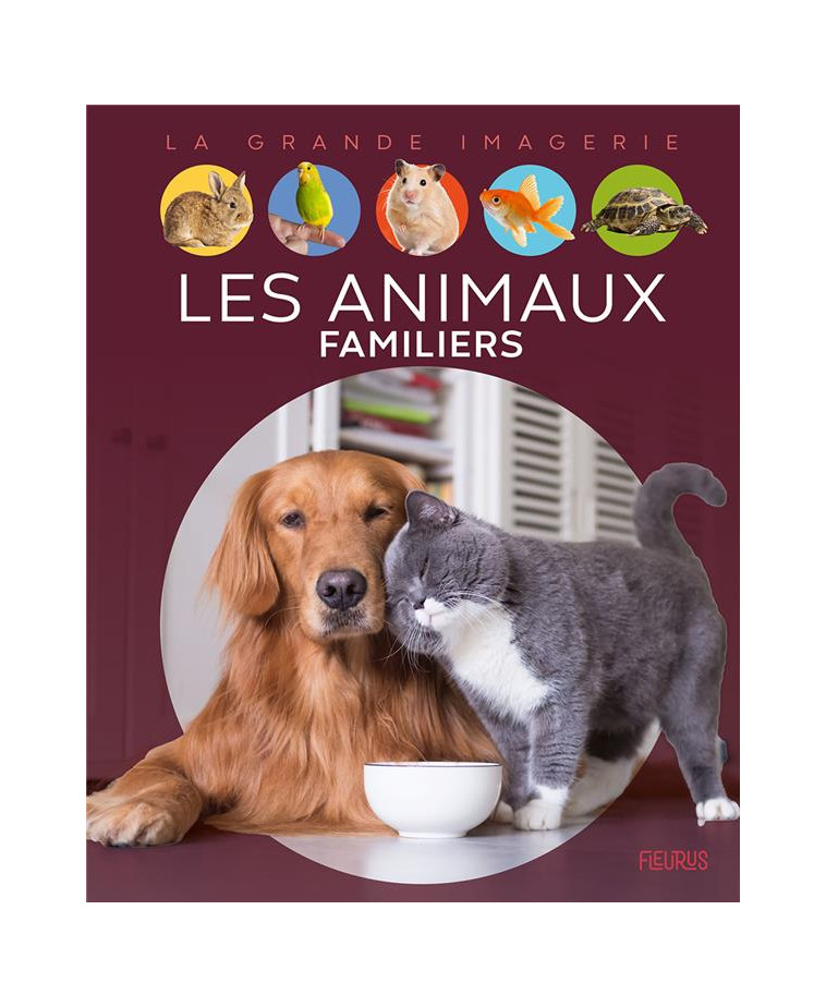 LES ANIMAUX FAMILIERS - BOCCADOR SABINE - FLEURUS