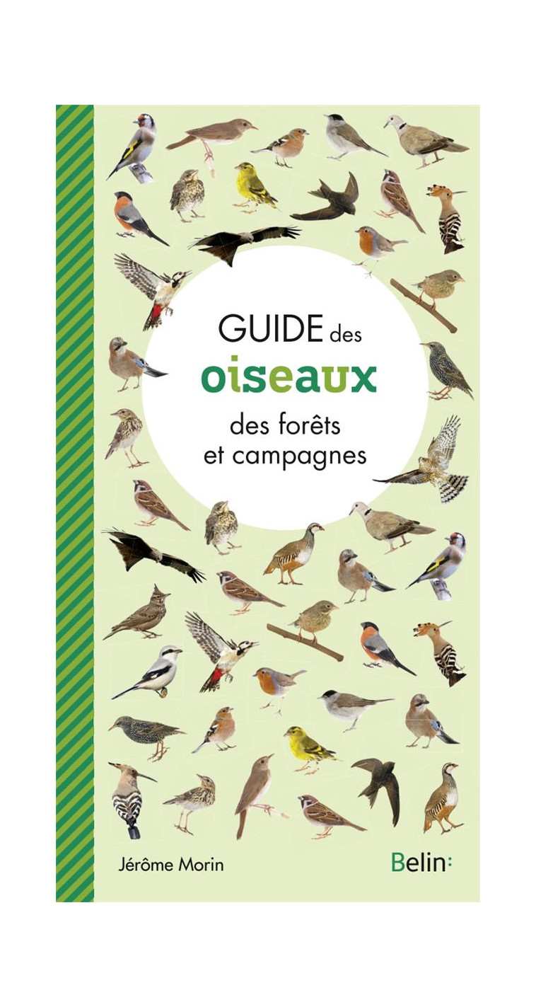 GUIDE DES OISEAUX DES FORETS ET CAMPAGNES - MORIN JEROME - BELIN