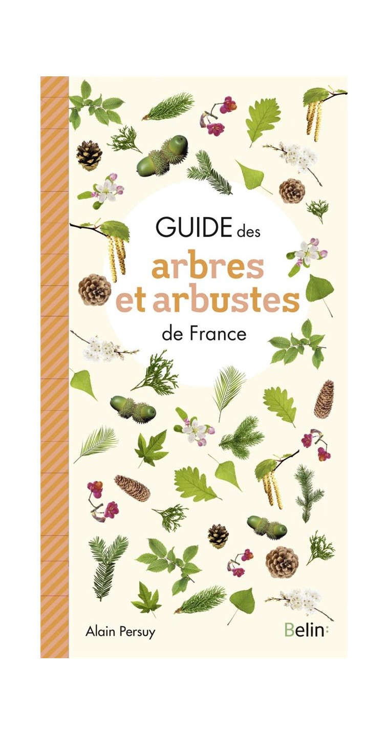 GUIDE DES ARBRES ET ARBUSTES DE FRANCE - PERSUY ALAIN - BELIN