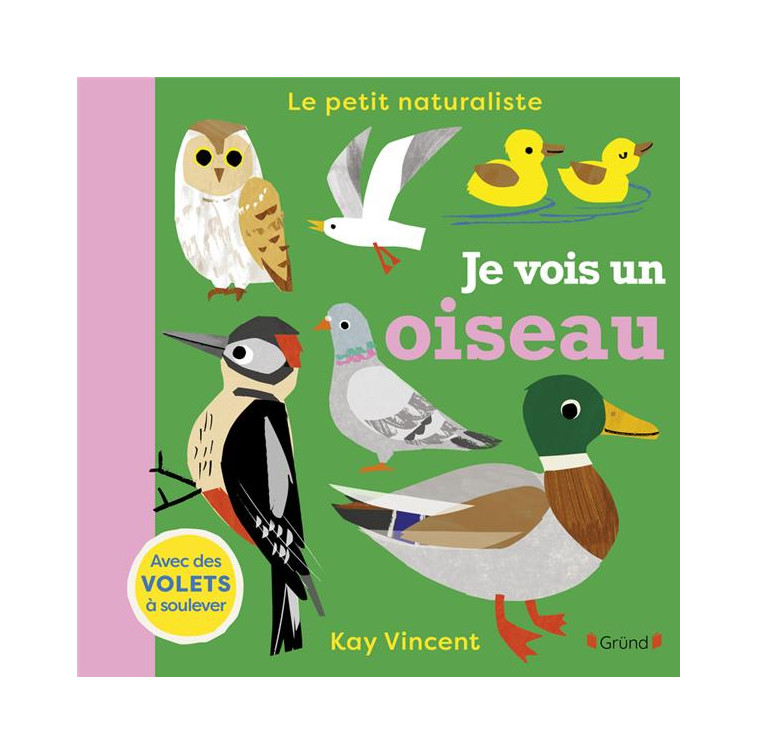 JE VOIS UN OISEAU - VINCENT KAY - GRUND