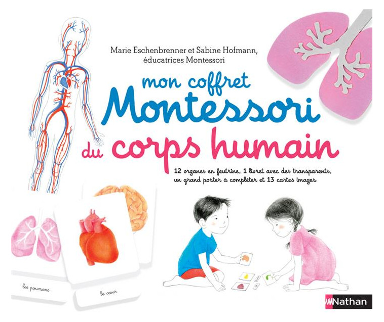 MON COFFRET MONTESSORI DU CORPS HUMAIN - HOFMANN/ROCCHI - CLE INTERNAT