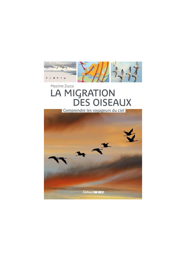 LA MIGRATION DES OISEAUX. COMPRENDRE LES VOYAGEURS DU CIEL - ZUCCA MAXIME - SUD OUEST