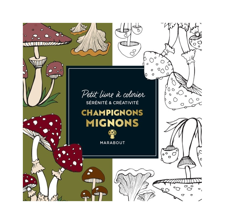 LE PETIT LIVRE DE COLORIAGES - CHAMPIGNONS MIGNONS - COLLECTIF - MARABOUT