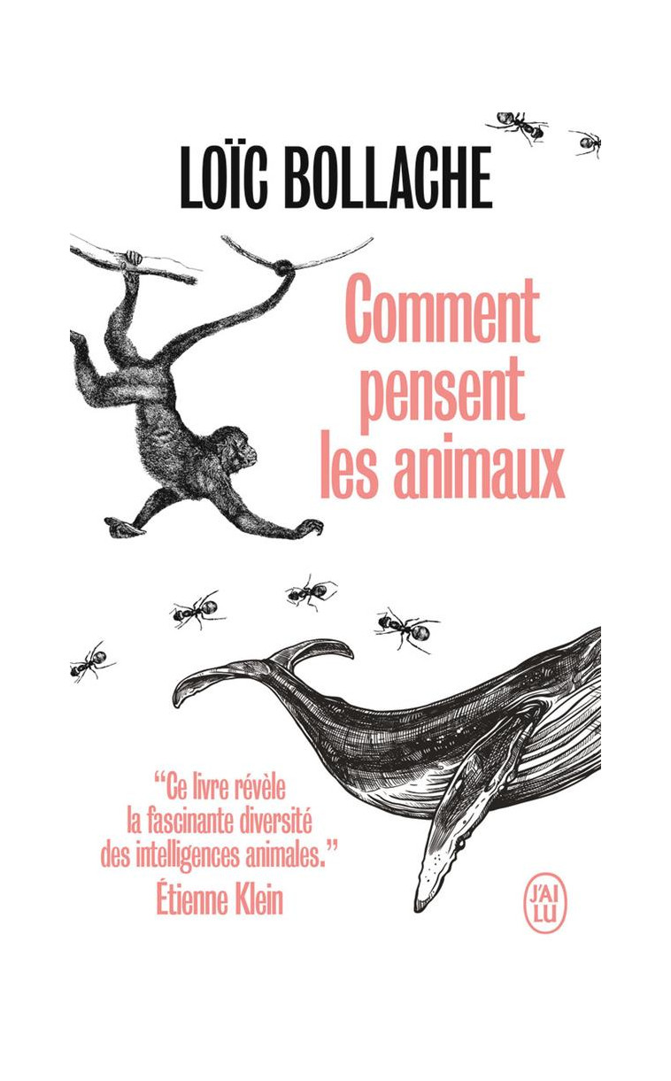 COMMENT PENSENT LES ANIMAUX - BOLLACHE LOIC - J'AI LU