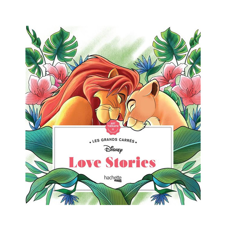 LES GRANDS CARRES DISNEY LOVE STORIES - SOUSA TRACY - HACHETTE