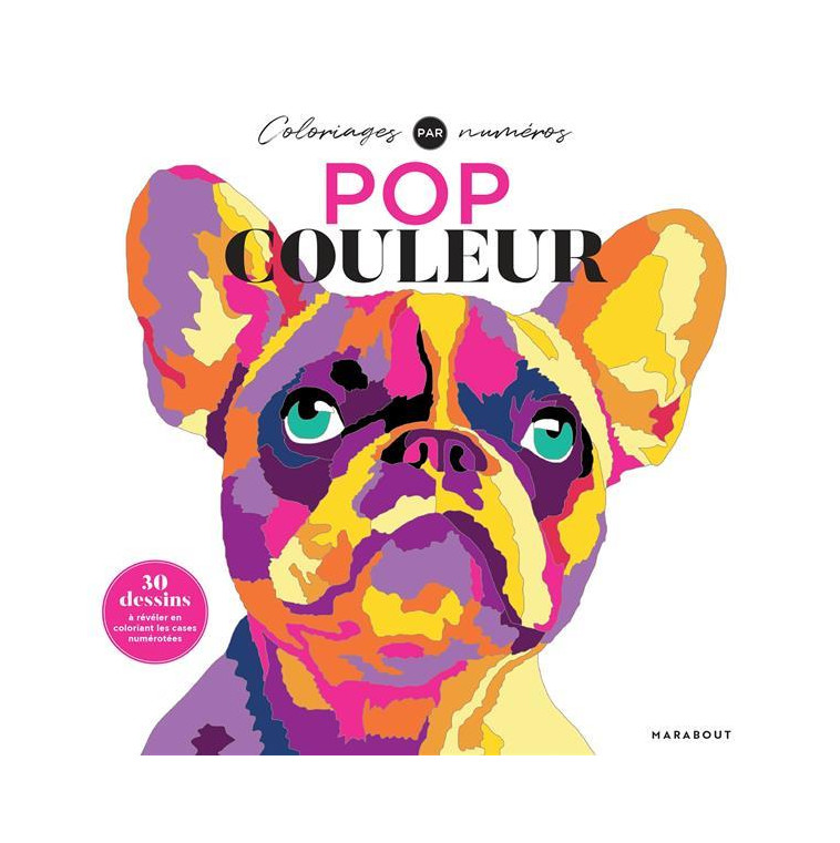 POP COULEUR - FARNSWORTH LAUREN - MARABOUT