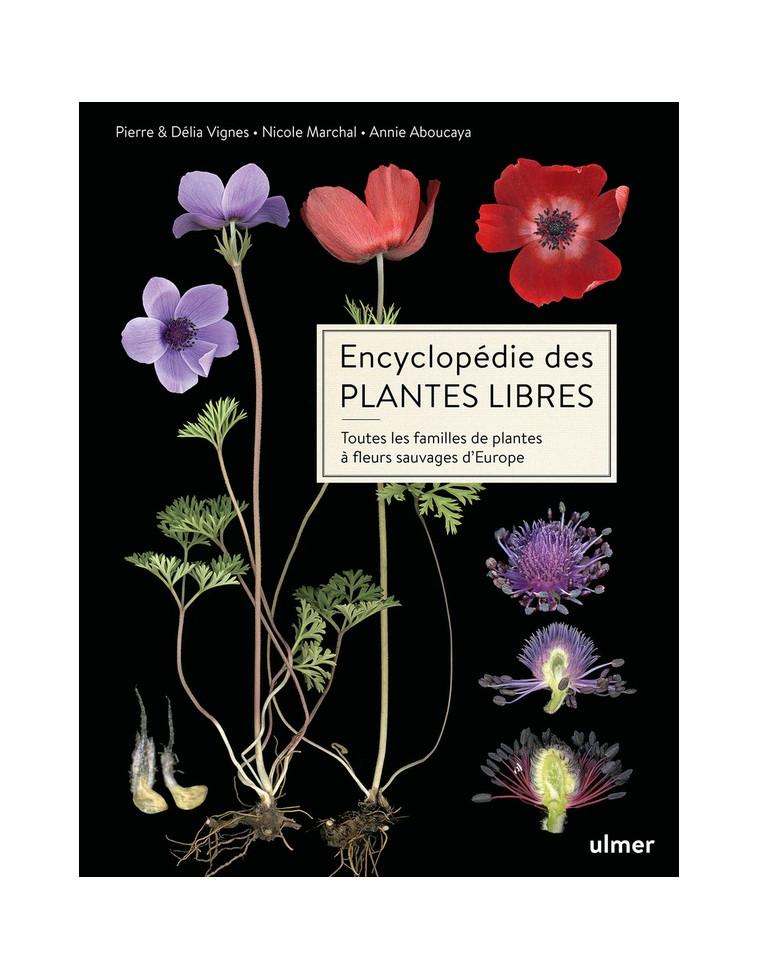 ENCYCLOPEDIE DES PLANTES LIBRES - TOUTES LES FAMILLES DE PLANTES A FLEURS SAUVAGES D-EUROPE - VIGNES/ABOUCAYA - ULMER