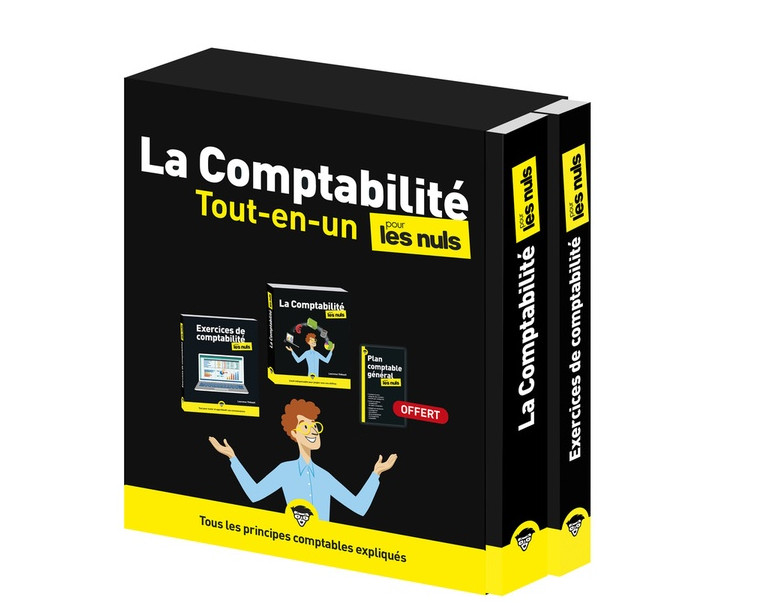 LA COMPTABILITE TOUT-EN-UN POUR LES NULS, 2E ED - THIBAULT LAURENCE - FIRST