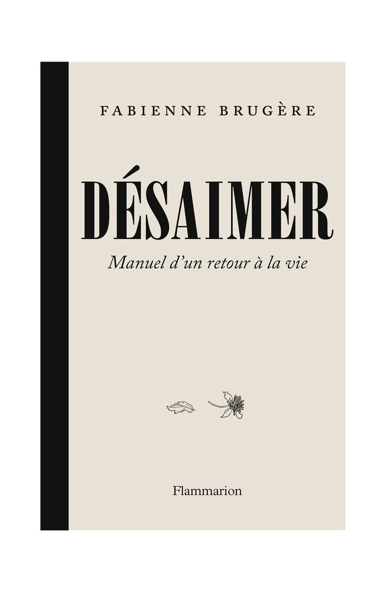 DESAIMER - MANUEL D-UN RETOUR A LA VIE - BRUGERE FABIENNE - FLAMMARION