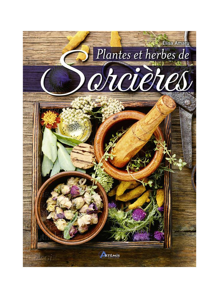 PLANTES ET HERBES DE SORCIERES - COLLECTIF - ARTEMIS