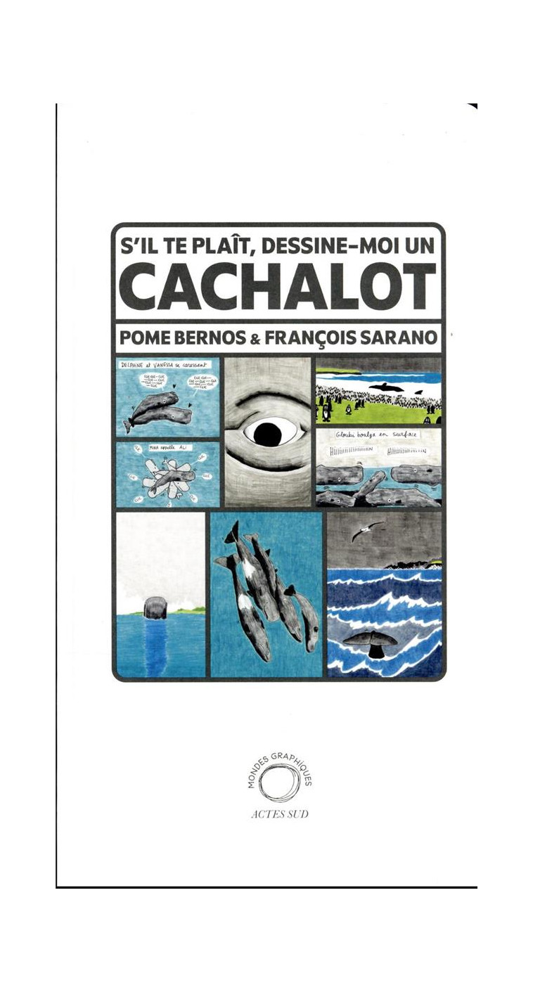 S-IL TE PLAIT, DESSINE-MOI UN CACHALOT - ILLUSTRATIONS, COULEUR - BERNOS/SARANO - ACTES SUD