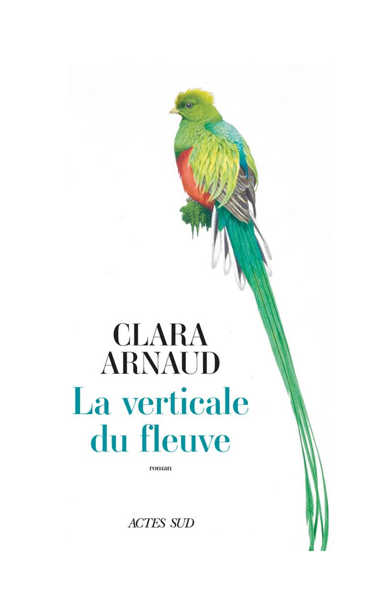 LA VERTICALE DU FLEUVE - ARNAUD CLARA - ACTES SUD