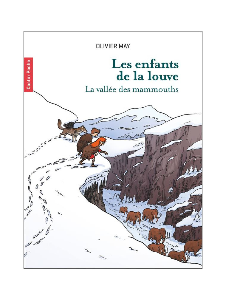 LES ENFANTS DE LA LOUVE - VOL03 - LA VALLEE DES MAMMOUTHS - MAY/DESBAT - FLAMMARION