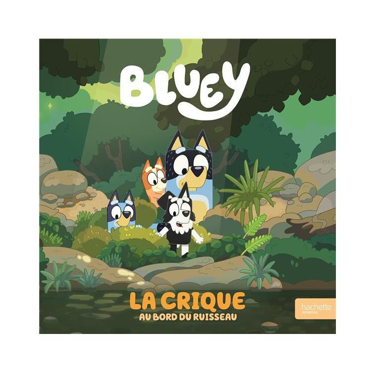 BLUEY - LA CRIQUE - ALBUM RC - BBC STUDIOS - LADYBI - HACHETTE