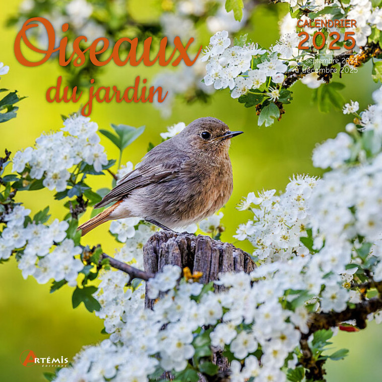 CALENDRIER OISEAUX DU JARDIN 2025 - Collectif  - ARTEMIS