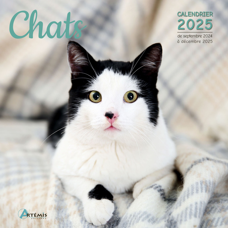 CALENDRIER CHATS 2025 - Collectif  - ARTEMIS