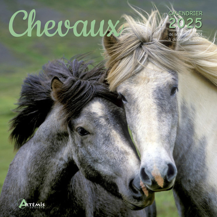 CALENDRIER CHEVAUX 2025 - Collectif  - ARTEMIS