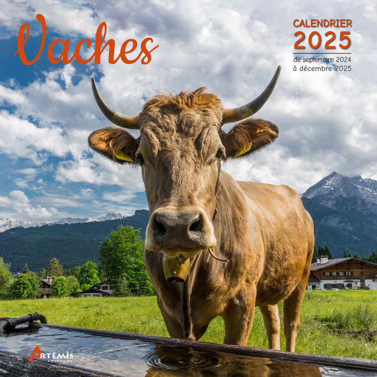 CALENDRIER VACHES 2025 - Collectif  - ARTEMIS