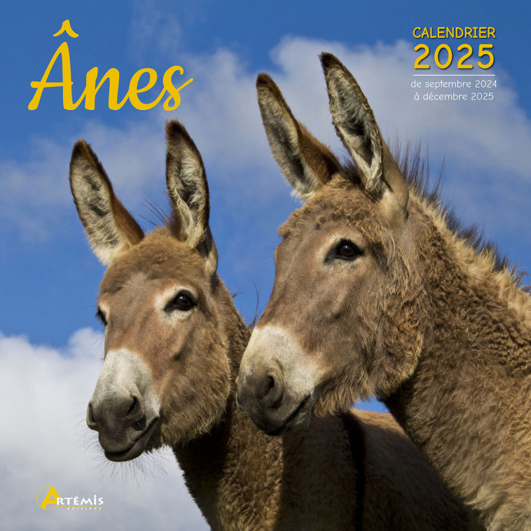 CALENDRIER ANES 2025 - Collectif  - ARTEMIS