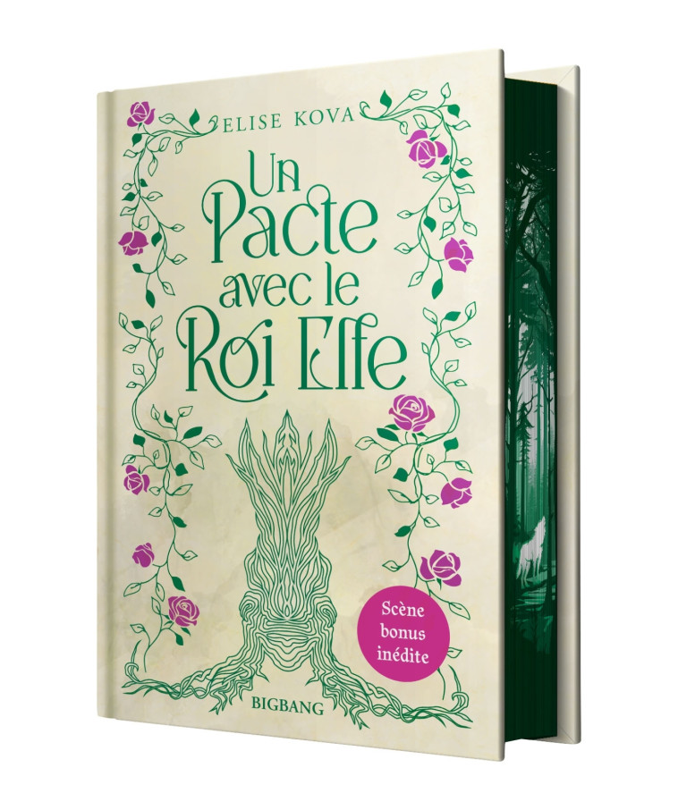 Un pacte avec le roi elfe (édition reliée) - Kova Elise, SAVIC Nenad - BIGBANG