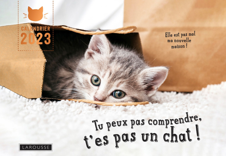 CALENDRIER TU PEUX PAS COMPRENDRE T-ES PAS UN CHAT - Aurélie Lemoine - LAROUSSE