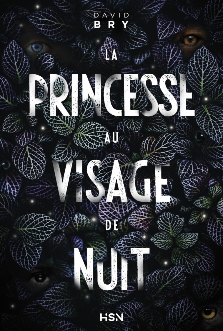 La Princesse au visage de nuit - Bry David - HOMME SANS NOM