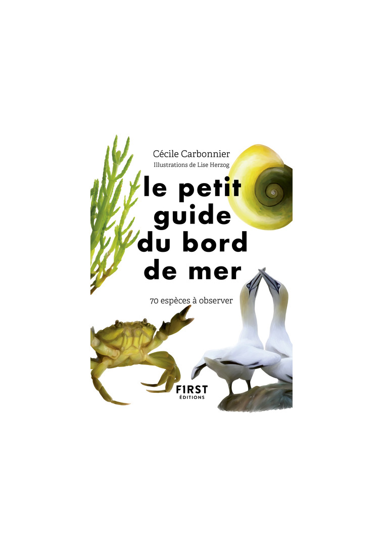 Le Petit Guide du bord de mer - Carbonnier Cécile, Herzog Lise - FIRST