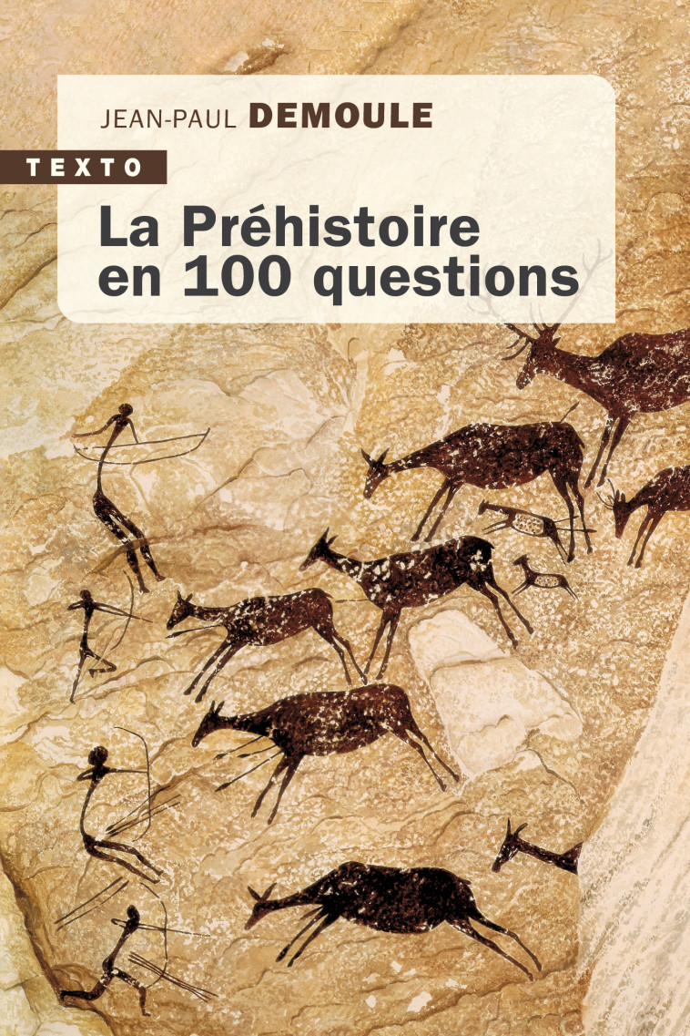 La préhistoire en 100 questions - Demoule Jean-Paul - TALLANDIER