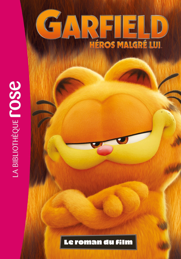 Garfield, héros malgré lui - Le roman du film -   - HACHETTE JEUN.