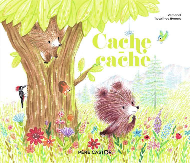 Cache-cache - Zemanel , Bonnet Rosalinde - PERE CASTOR