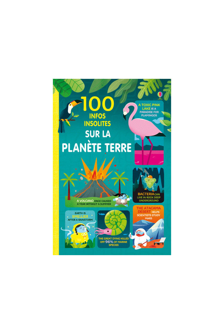 100 infos insolites sur notre planète - Martin Jérôme, Stobbart Darran, James Alice, Mumbray Tom, Collectif Collectif, Varejka Pascal - USBORNE